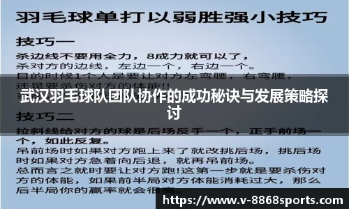 武汉羽毛球队团队协作的成功秘诀与发展策略探讨