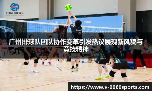 广州排球队团队协作变革引发热议展现新风貌与竞技精神