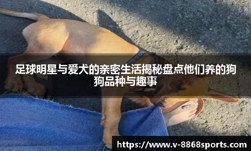足球明星与爱犬的亲密生活揭秘盘点他们养的狗狗品种与趣事